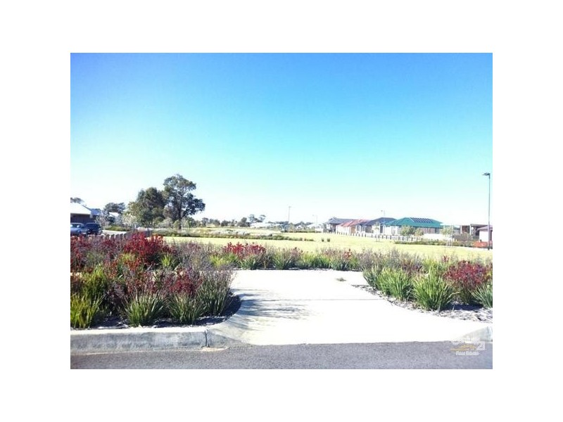 16 Jane Turn, Baldivis WA 6171