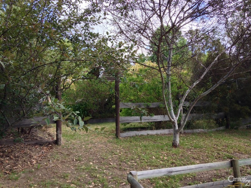 55 Guppy Street, Pemberton WA 6260