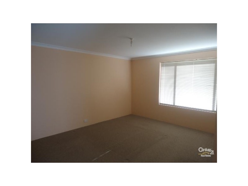 17 Rimfire Road, Baldivis WA 6171
