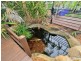 5 Springfield Court, Warnbro WA 6169