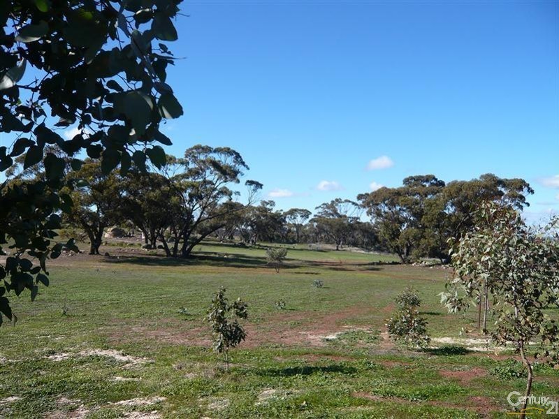 Lot 155 Carlisle Road, Woodanilling WA 6316