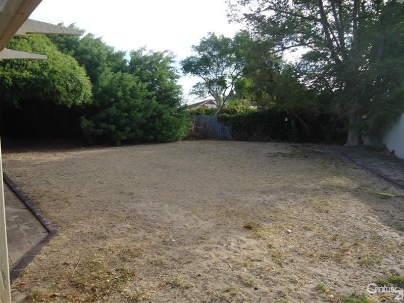 17 Palamuna Court, Hillman WA 6168