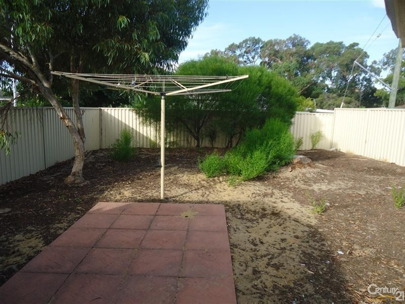 17 Palamuna Court, Hillman WA 6168