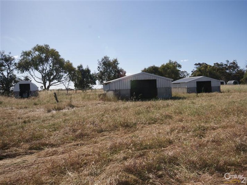 19313 Albany Highway, Beaufort River WA 6394