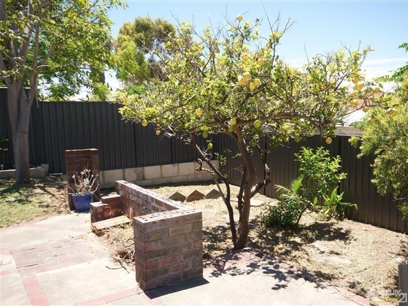 18 Clovelly Way, Warnbro WA 6169