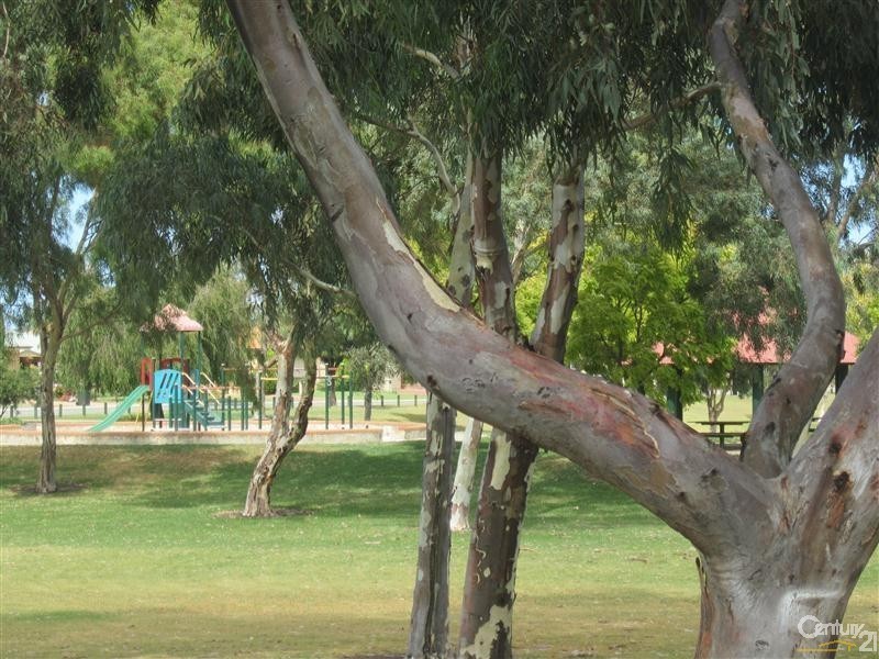 13 Grado Lane, Port Kennedy WA 6172