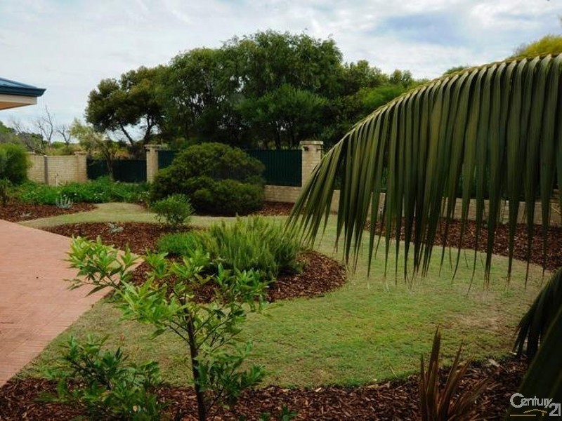 8 Cardiff Place, Warnbro WA 6169