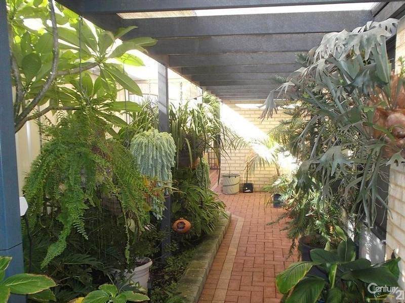 9 Passfield Street, Baldivis WA 6171