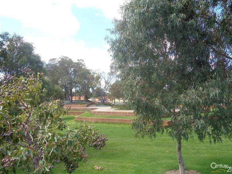 6 Perks Lane, Baldivis WA 6171