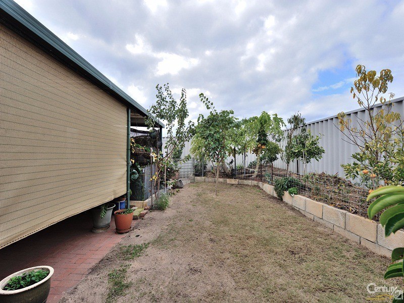 39 Tryall Avenue, Port Kennedy WA 6172