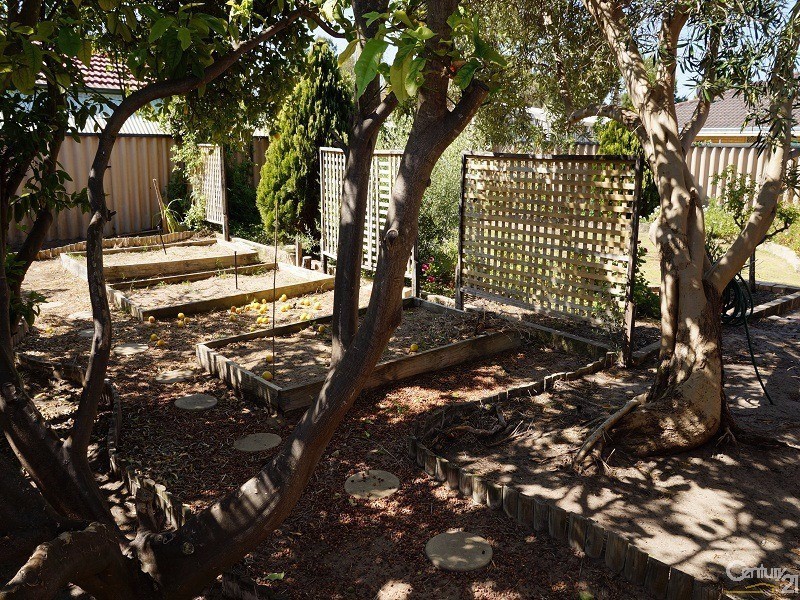 14 Coran Gardens, Warnbro WA 6169