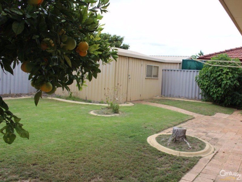 65 Triton Avenue, Waikiki WA 6169