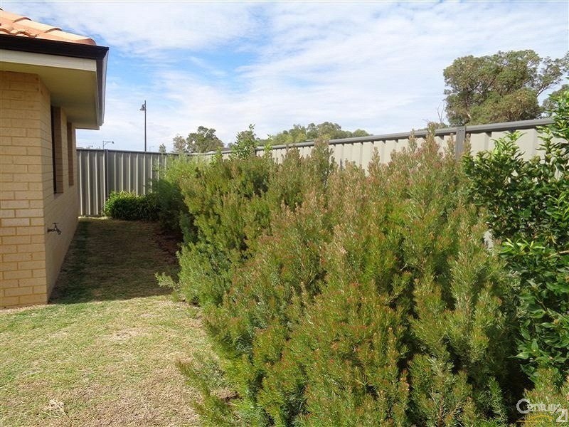 113 Aldersyde Meander, Baldivis WA 6171
