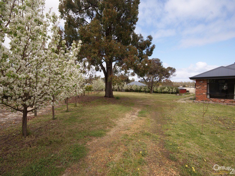 22 Melaleuca Place, Donnybrook WA 6239