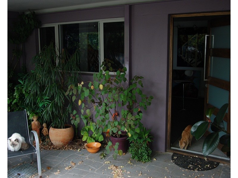 183 Rockingham Beach Road, Rockingham WA 6168