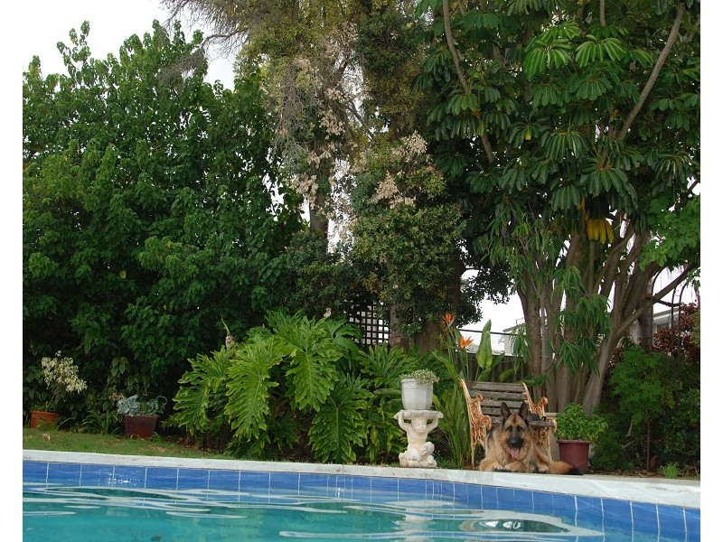 183 Rockingham Beach Road, Rockingham WA 6168