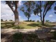 34 Selhurst Parkway, Baldivis WA 6171