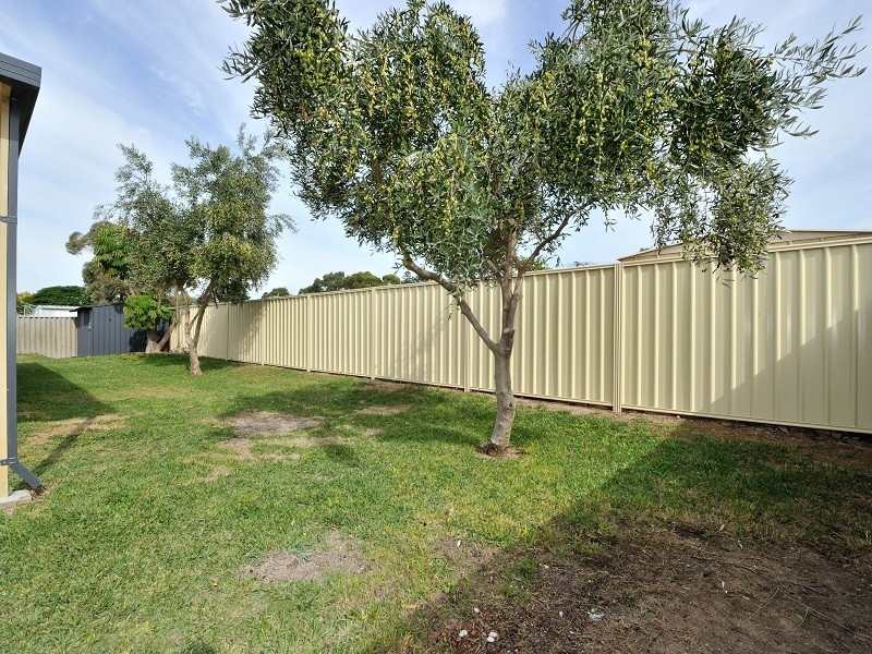 17 Hydra Close, Rockingham WA 6168