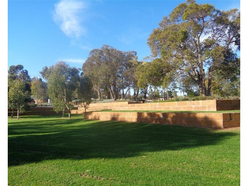 6 Perks Lane, Baldivis WA 6171