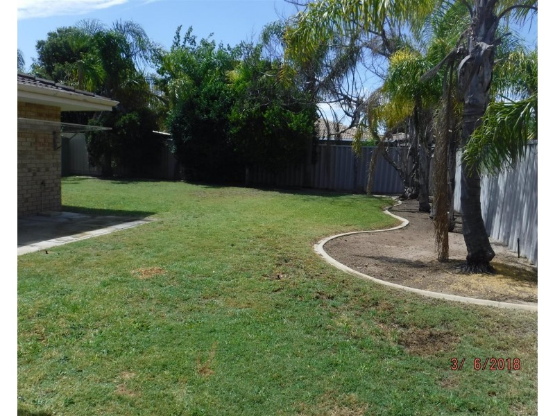 6 Brighton Close, Warnbro WA 6169