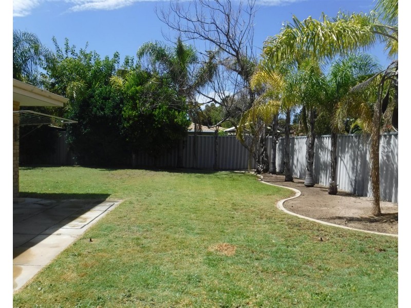 6 Brighton Close, Warnbro WA 6169