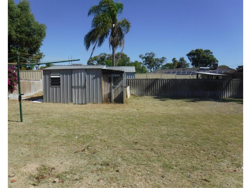 49 Calume Street, Hillman WA 6168