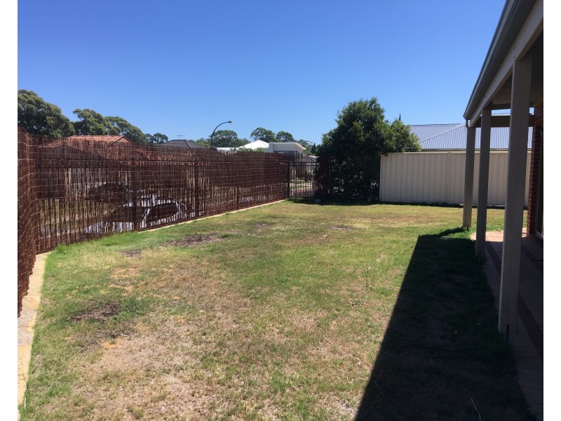 5 Edgecumbe Terrace, Baldivis WA 6171