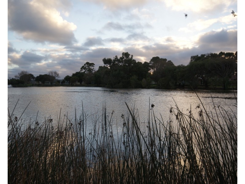 16 Reflection Mews, Safety Bay WA 6169