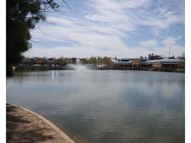 13 Hybanthus Loop, Beeliar WA 6164