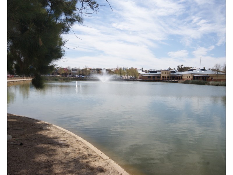 13 Hybanthus Loop, Beeliar WA 6164