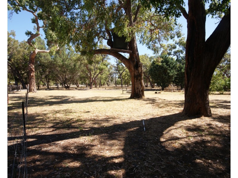 4b Pleasant Grove Circle, Falcon WA 6210