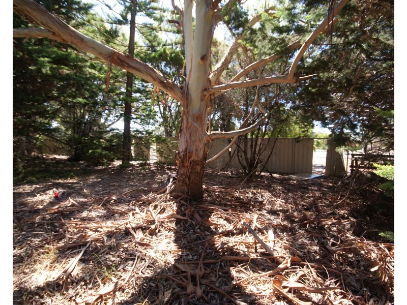 4b Pleasant Grove Circle, Falcon WA 6210