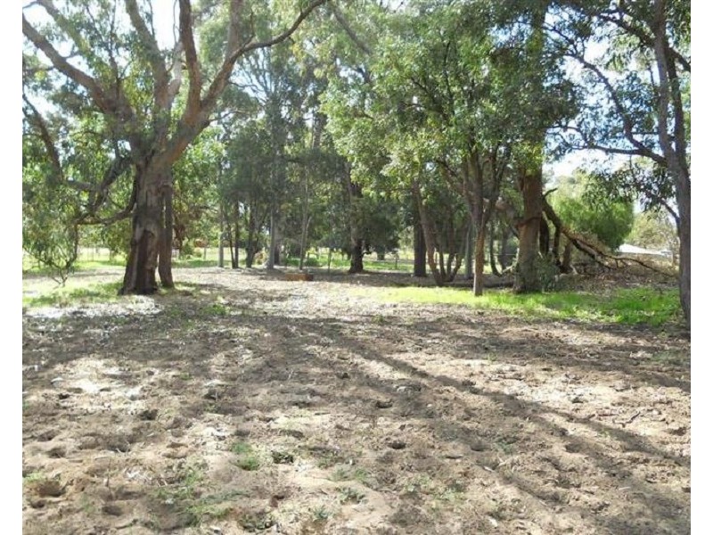 226 Wandoo Drive, Baldivis WA 6171