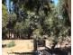 Lot 25 Wisteria Drive, Quindalup WA 6281