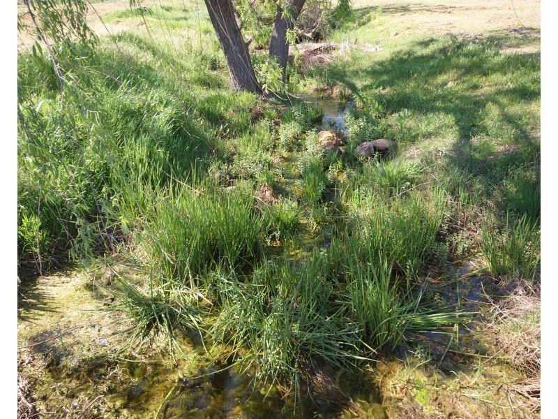 270 Peartree Lane, Parkerville WA 6081