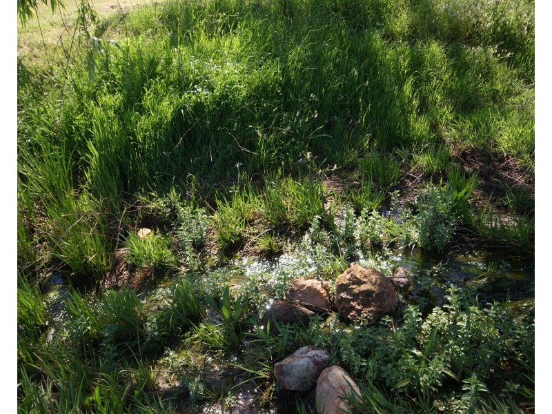 270 Peartree Lane, Parkerville WA 6081