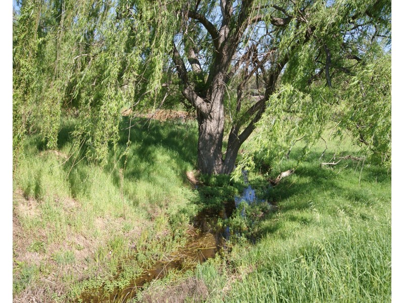 270 Peartree Lane, Parkerville WA 6081