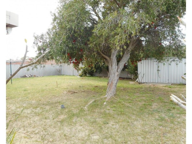 10  Markaling Close, Hillman WA 6168