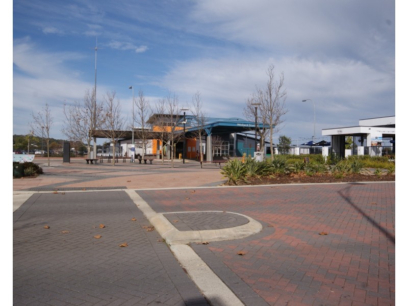 16 Bentham Rise, Wellard WA 6170