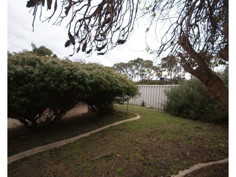 17B Carnation Place, Yangebup WA 6164