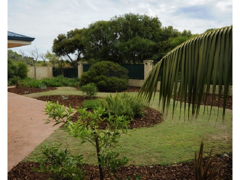 8 Cardiff Place, Warnbro WA 6169