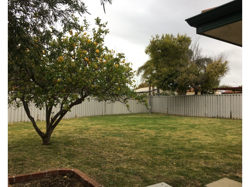 33 Charnley Gardens, Waikiki WA 6169