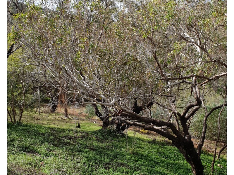 9 Soldiers Road, Roleystone WA 6111