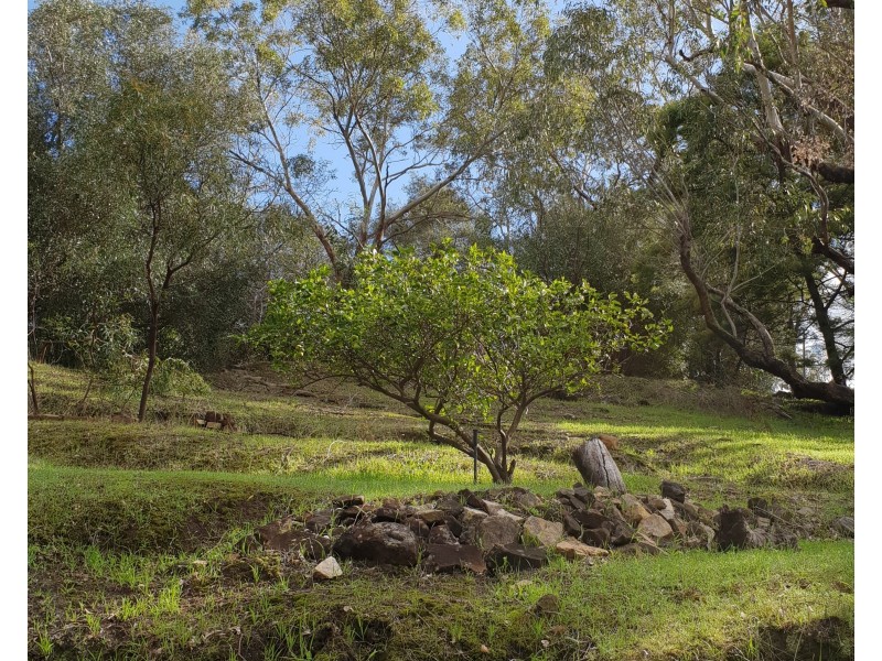 9 Soldiers Road, Roleystone WA 6111