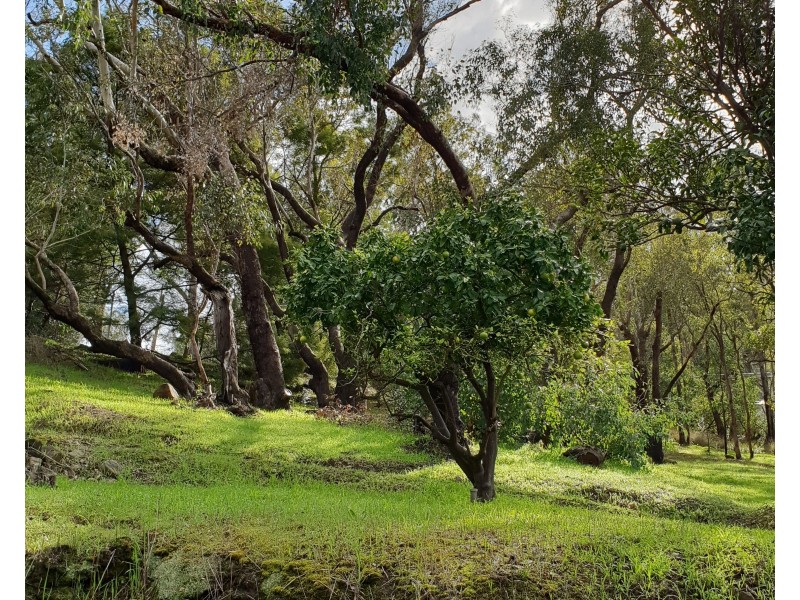 9 Soldiers Road, Roleystone WA 6111