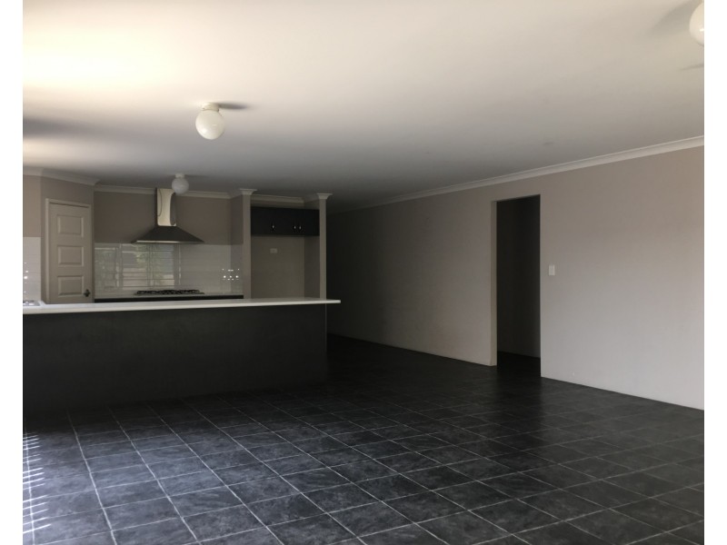 16 Jane Turn, Baldivis WA 6171