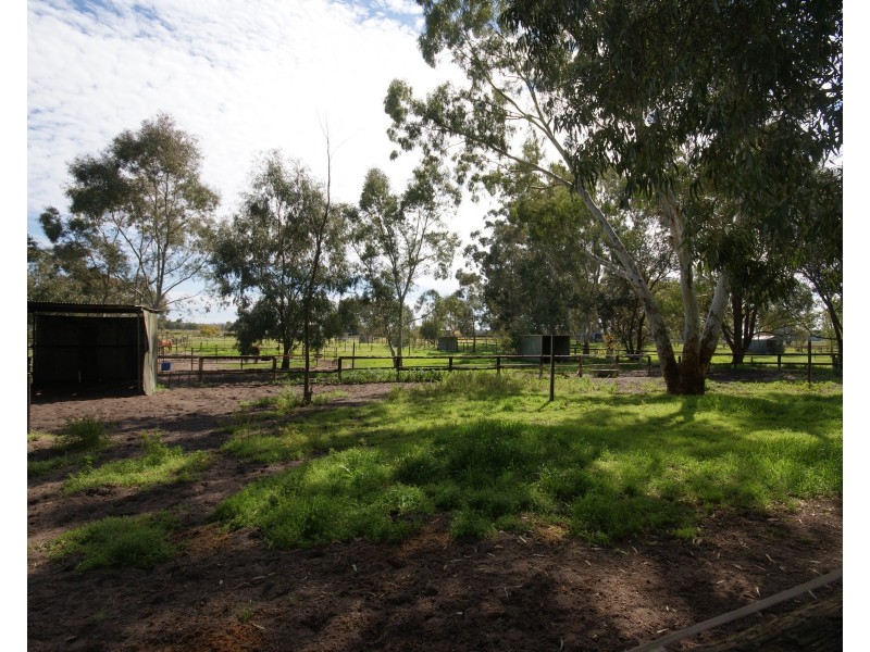 561 St Albans Road, Baldivis WA 6171