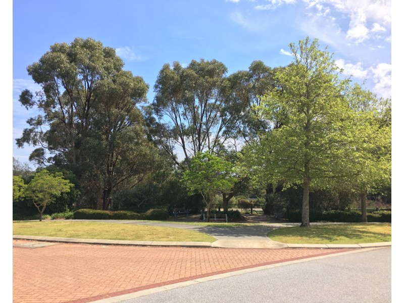 91 Huxtable Terrace, Baldivis WA 6171
