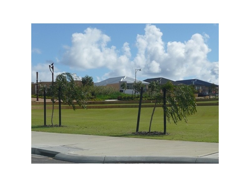 7 Dalry Cove, Butler WA 6036