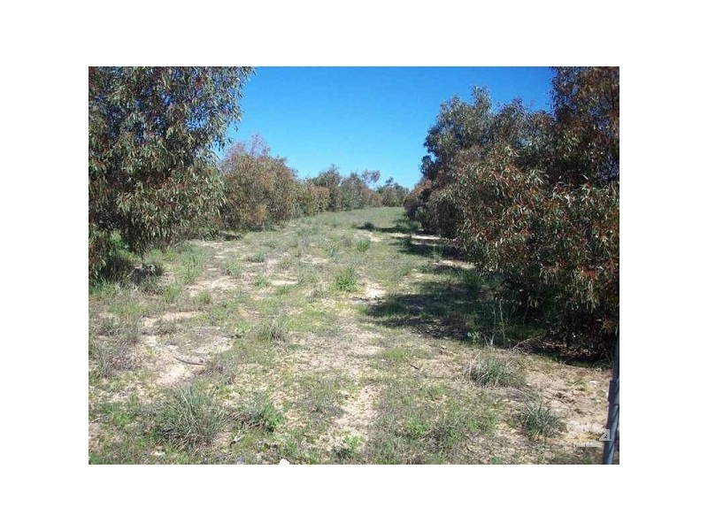 Lot 112 Jurien Bay Vista, Jurien Bay WA 6516